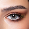 Premium Gold Grey Beige