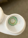Premium Dot Green