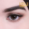 Premium Dot Gray